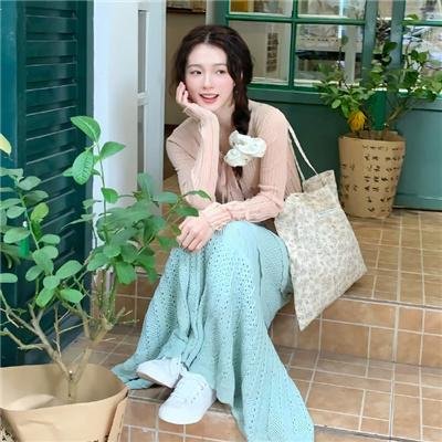 阿尔忒弥斯计划